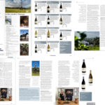 Air Namibia Flamingo In-flight magazine pages