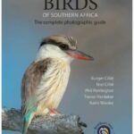 Veld Birds of Southern Africa Book cover